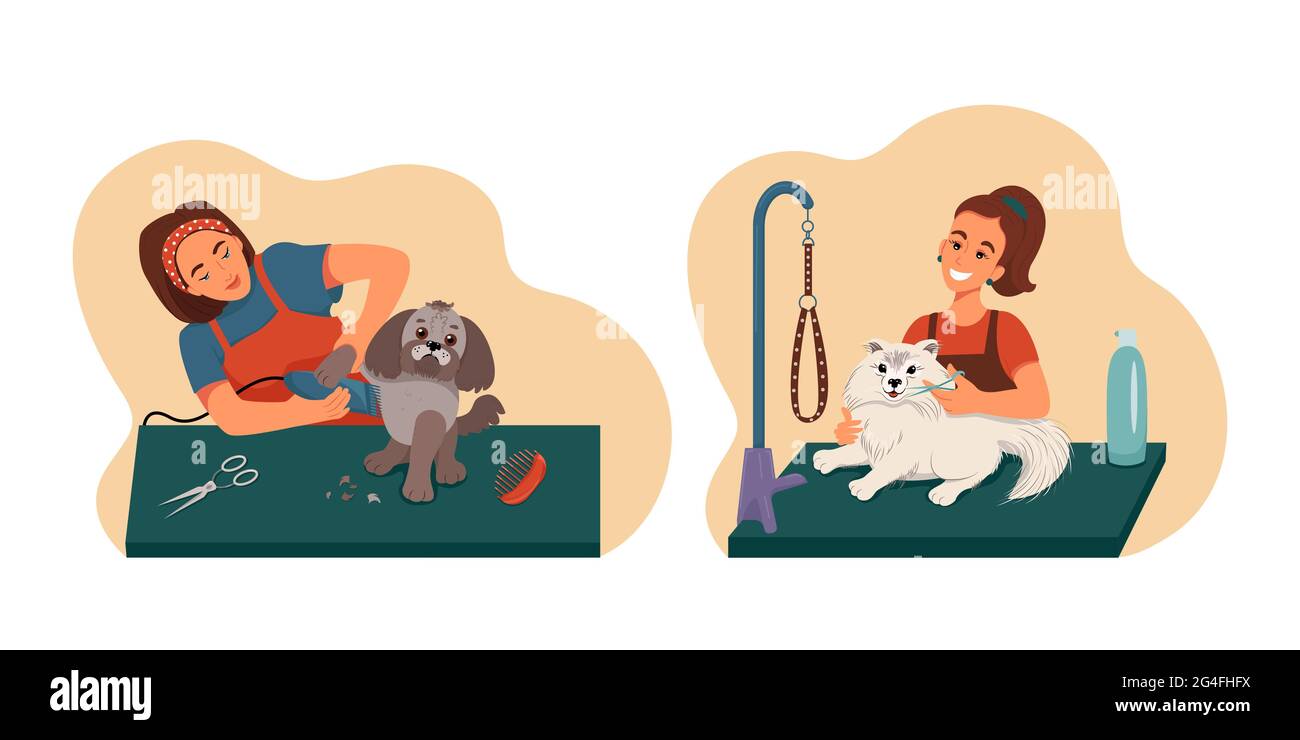 Ensemble de toilettage pour animaux de compagnie, toiletteur laver les chiens soignés, collection de vecteurs d'illustrations dans le style plat Illustration de Vecteur