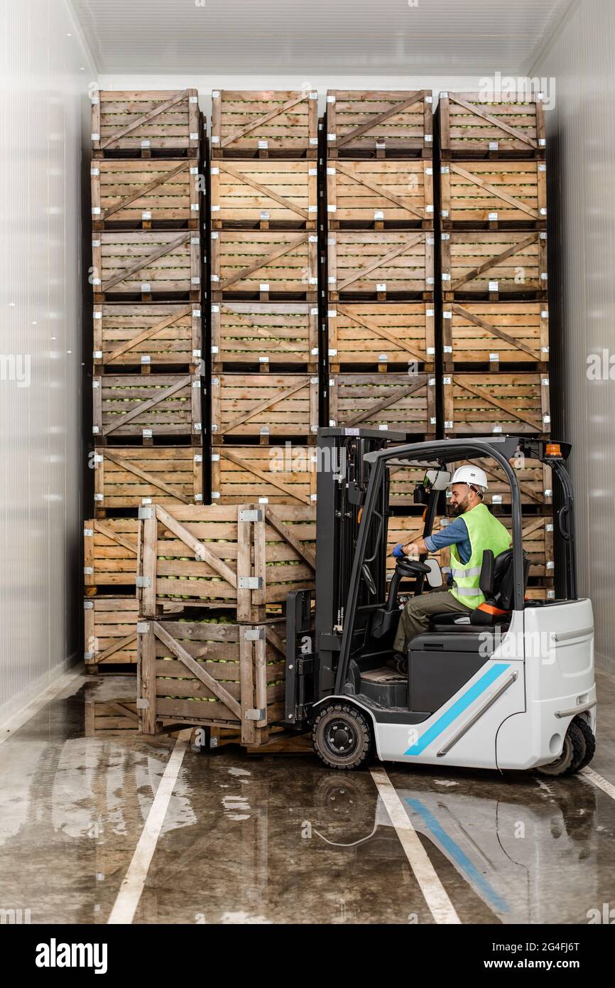 Entrepôt moderne, travail sur chariot élévateur, industrie et agro-industrie biologique Banque D'Images