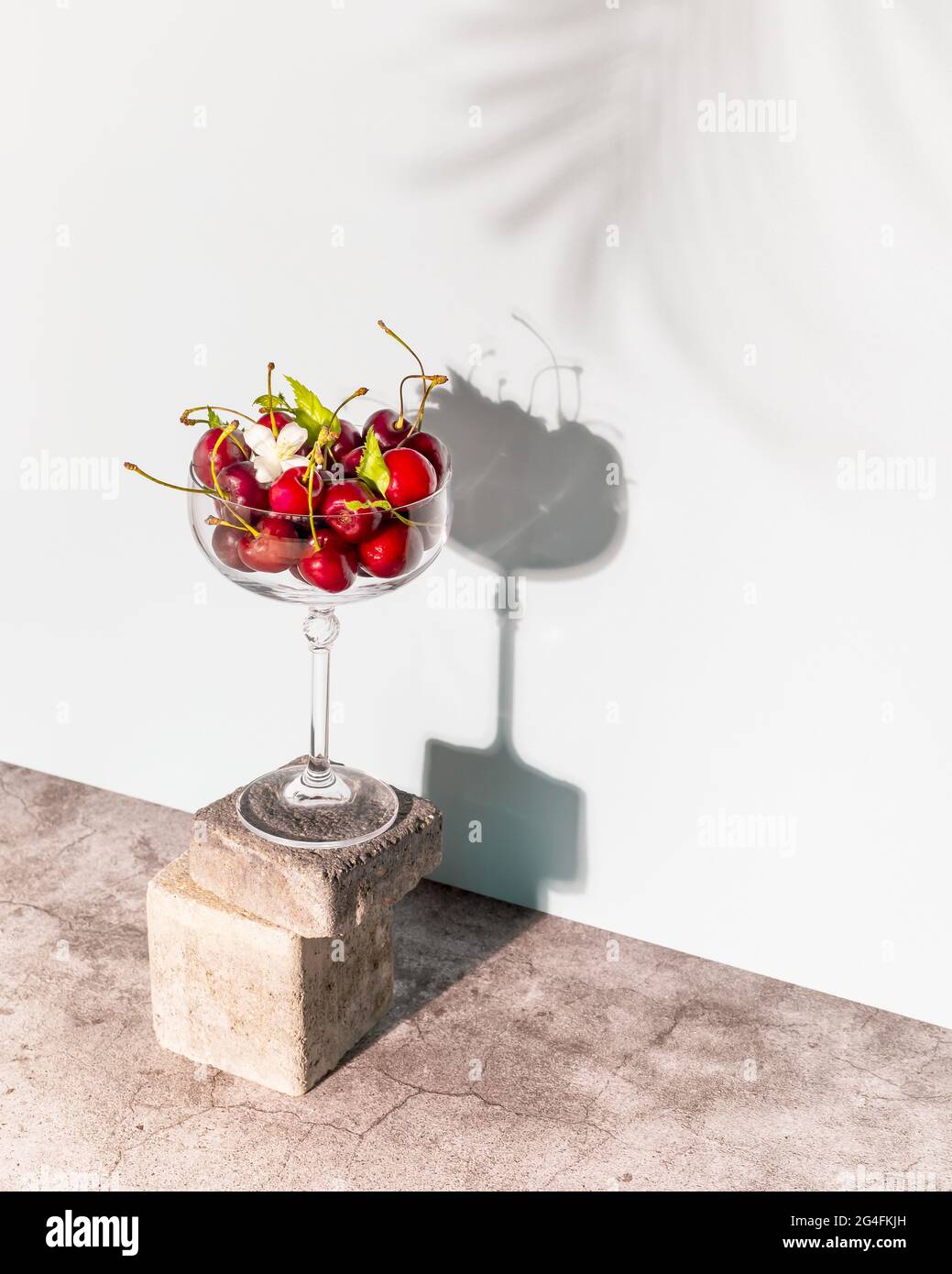 Composition estivale avec un verre rempli de cerises sur le podium en ciment, et ombre de palmier sur fond bleu. Le concept de nourriture saine Banque D'Images