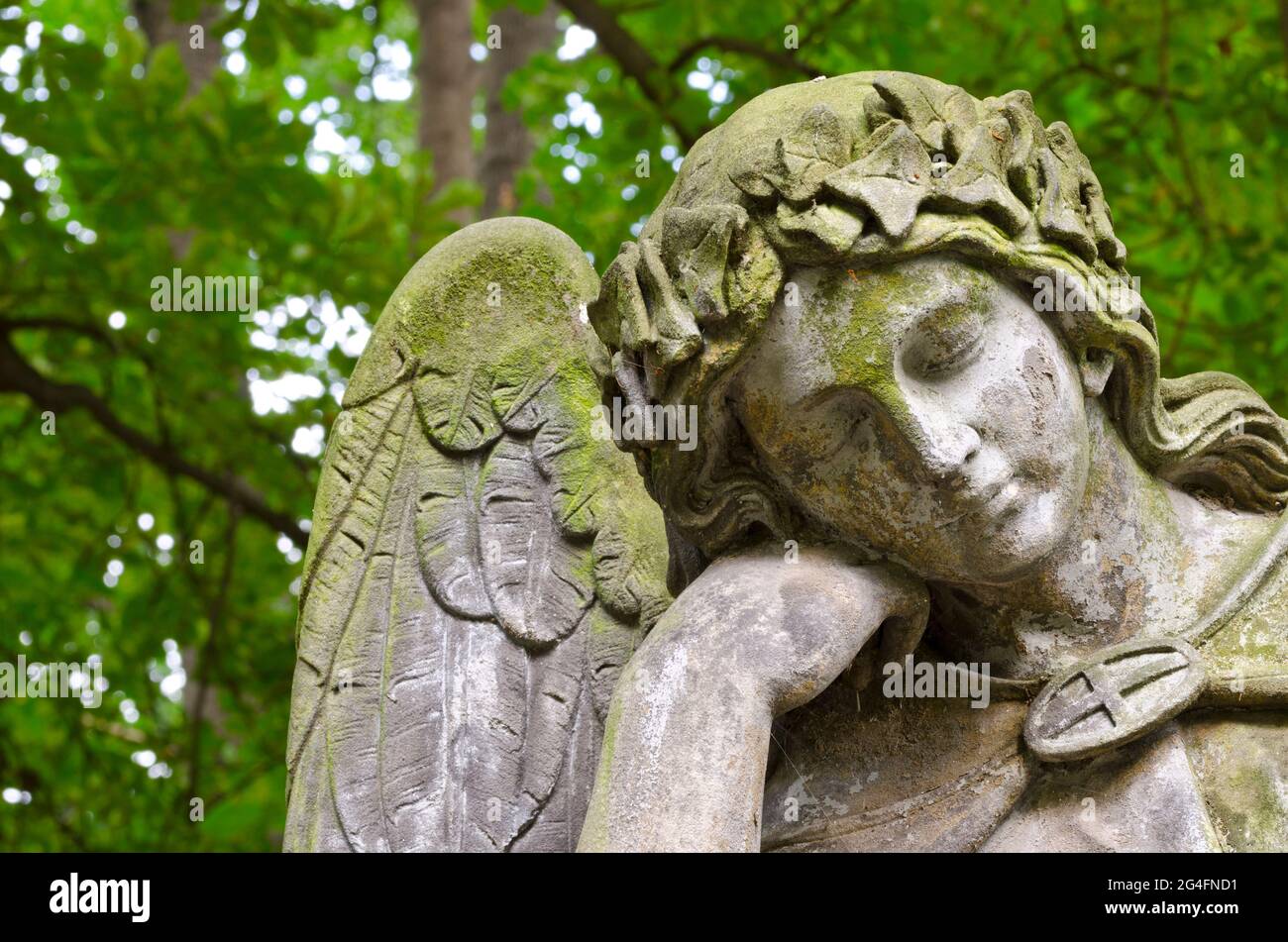 Détail d'une statue patiné d'un ange de repos aux yeux fermés - une tombe dans un vieux cimetière Banque D'Images