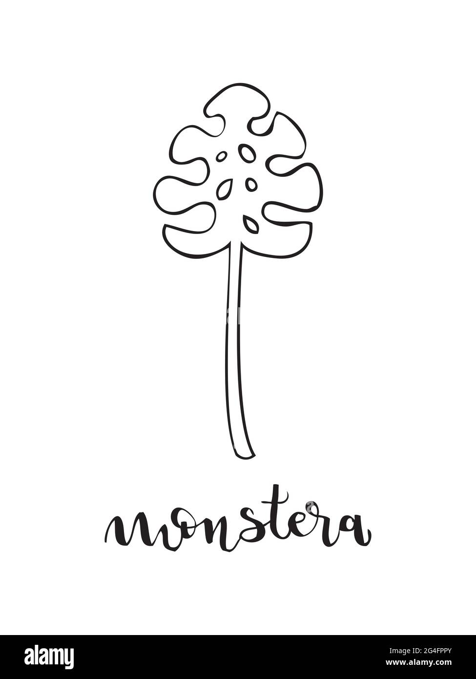Monstera feuille et lettrage. Style linéaire. Illustration vectorielle, style dessiné à la main Illustration de Vecteur Monstera feuille et lettrage. Style linéaire. Illustration vectorielle, style dessiné à la main Illustration de Vecteur