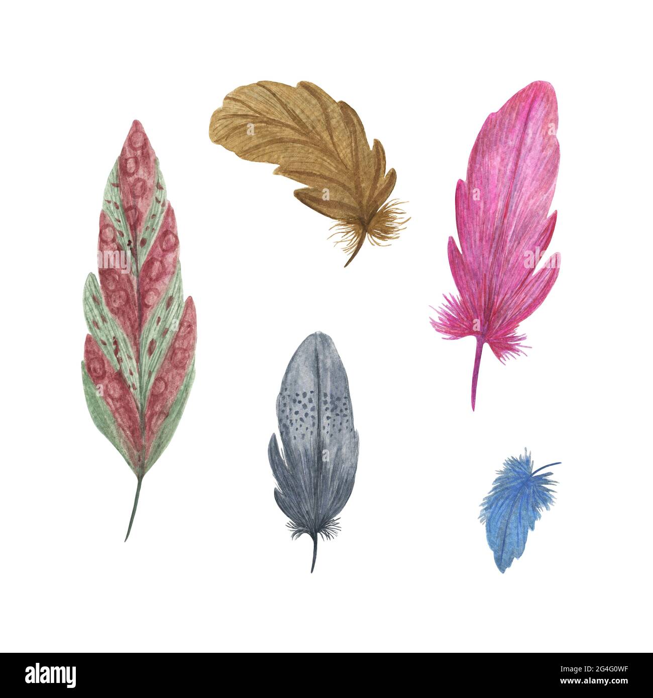 Plumes d'oiseau fantaisie colorées aquarelle illustration style boho ailes décoratives pour un design rustique créatif, invitation de mariage, textile domestique Banque D'Images