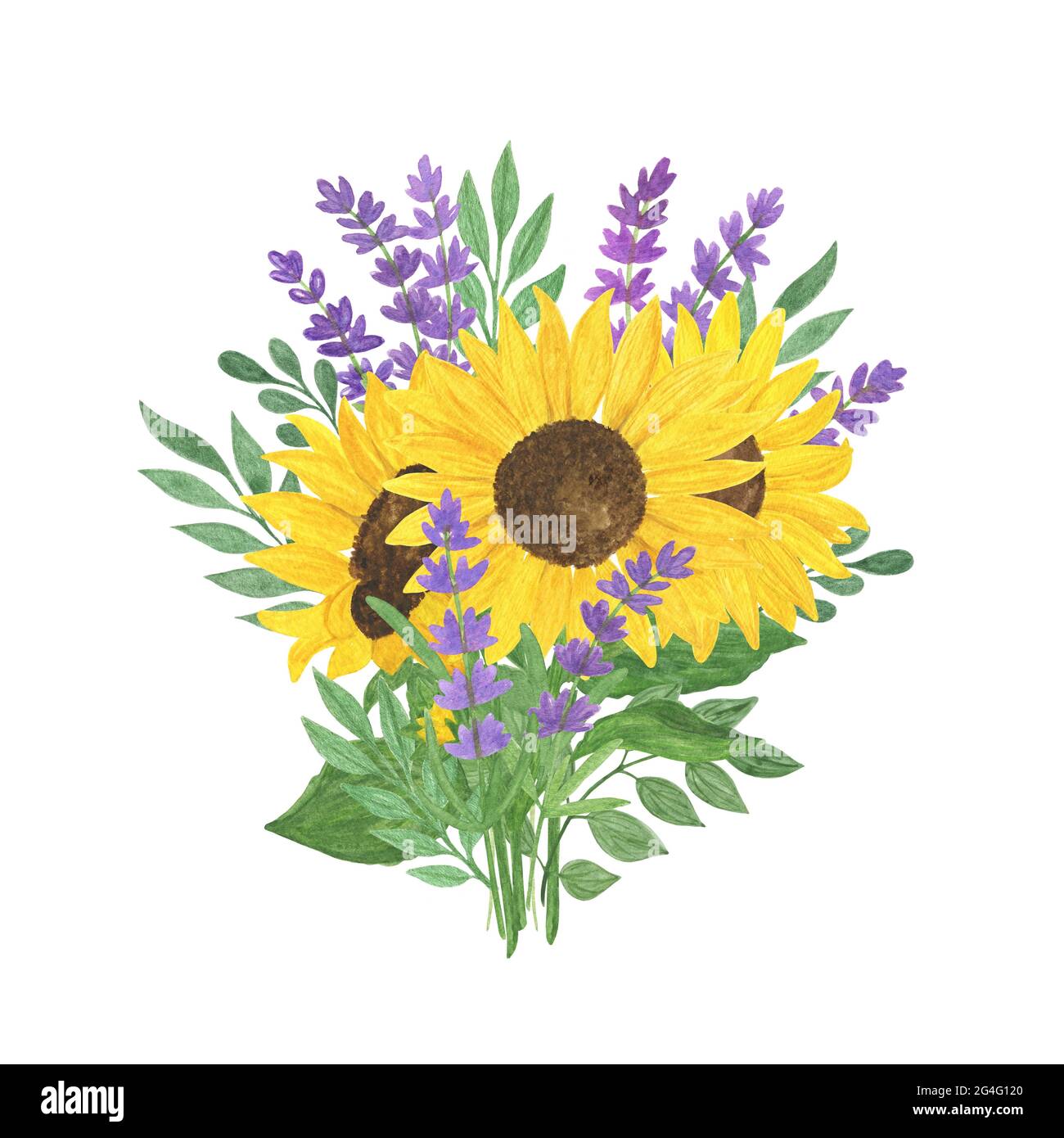 Bouquet de tournesol, lavande, feuilles aquarelle illustration, composition florale, arrangement de plantes d'été symbole de Provence française pour accueillir ca Banque D'Images