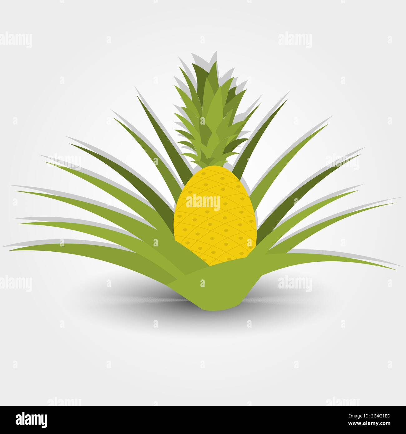 Ananas isolé sur fond gris avec ombre. Modifiable. Illustration de Vecteur