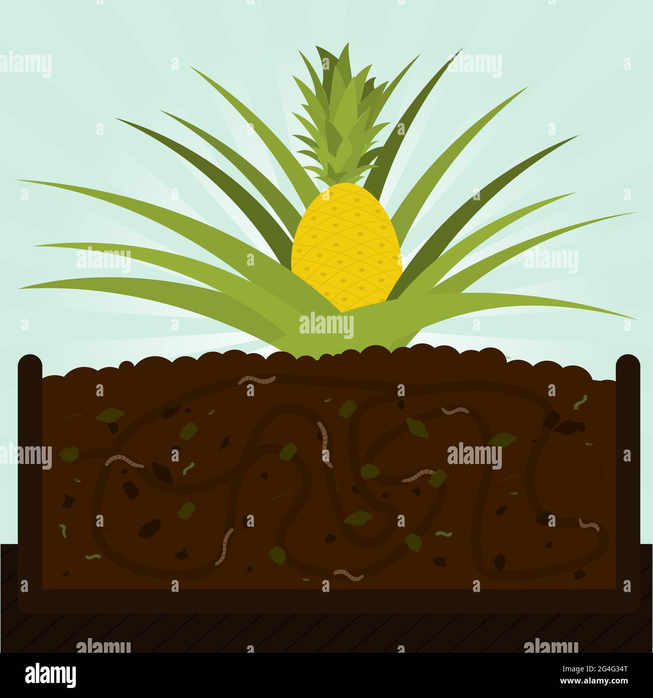 Ananas. Processus de compostage avec matière organique, micro-organismes et vers de terre. Feuilles tombées sur le sol. Illustration de Vecteur
