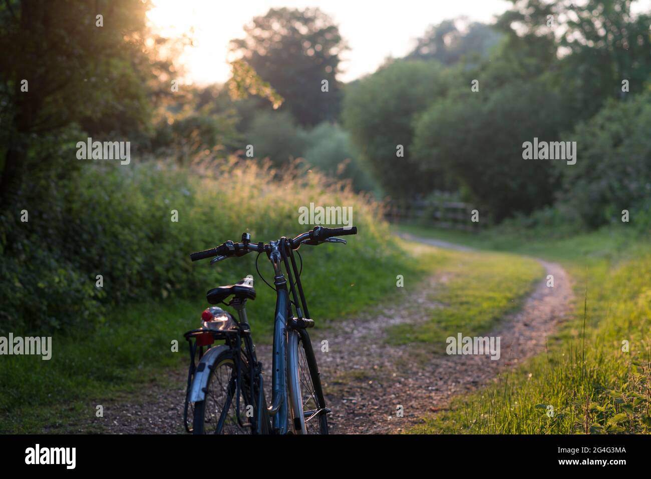 Cyclisme dans le Lee Valley Country Park, Essex, Angleterre, Royaume-Uni Banque D'Images