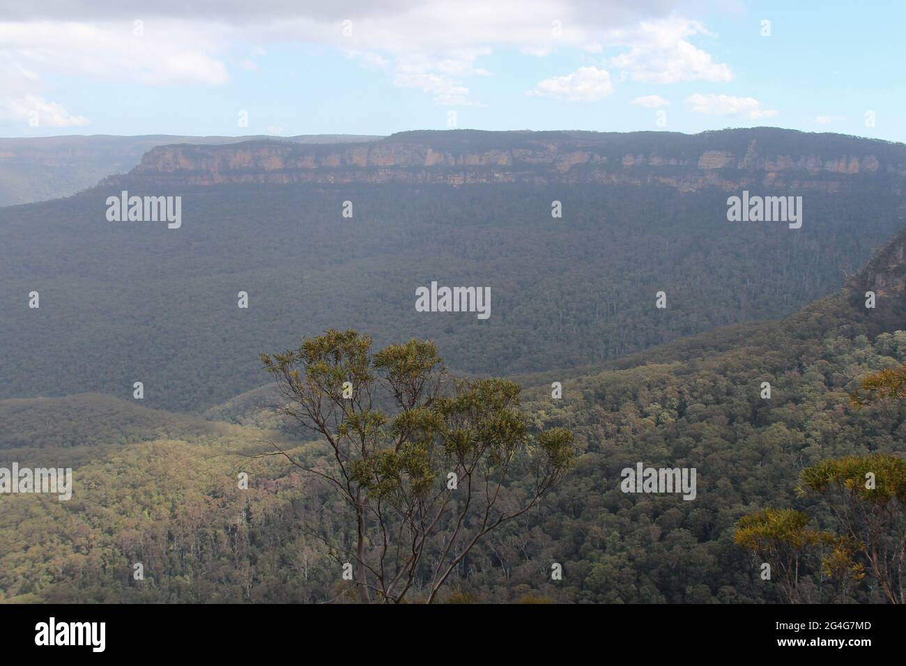 point d'écho dans les montagnes bleues (australie) Banque D'Images