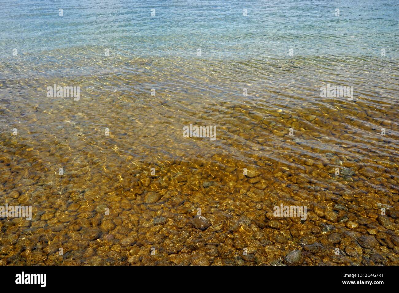 Eau peu profonde du lac de Constance avec pierres rondes sur le fond. Convient à un environnement naturel ou saisonnier. Banque D'Images