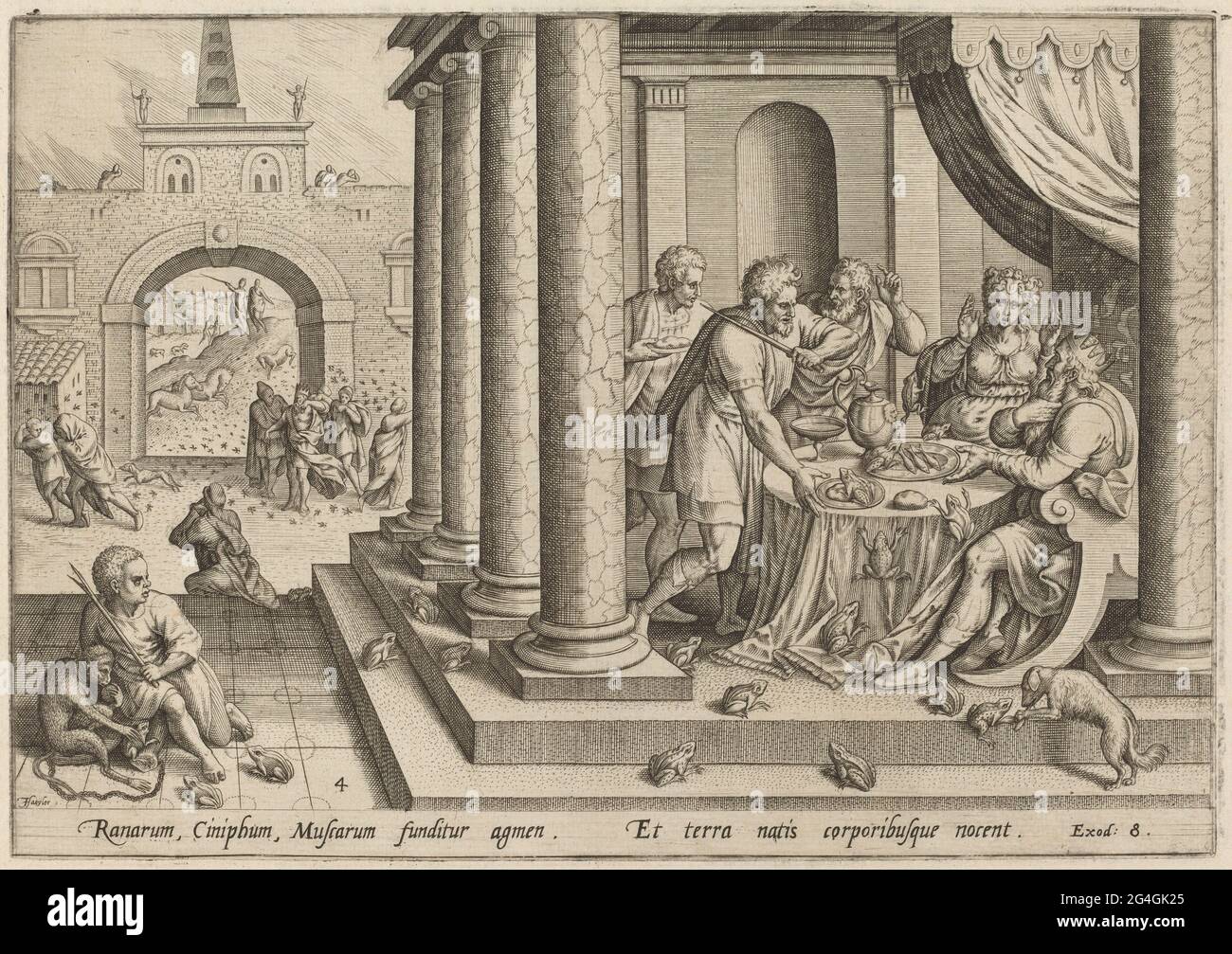 La peste de grenouilles, 1585. Banque D'Images