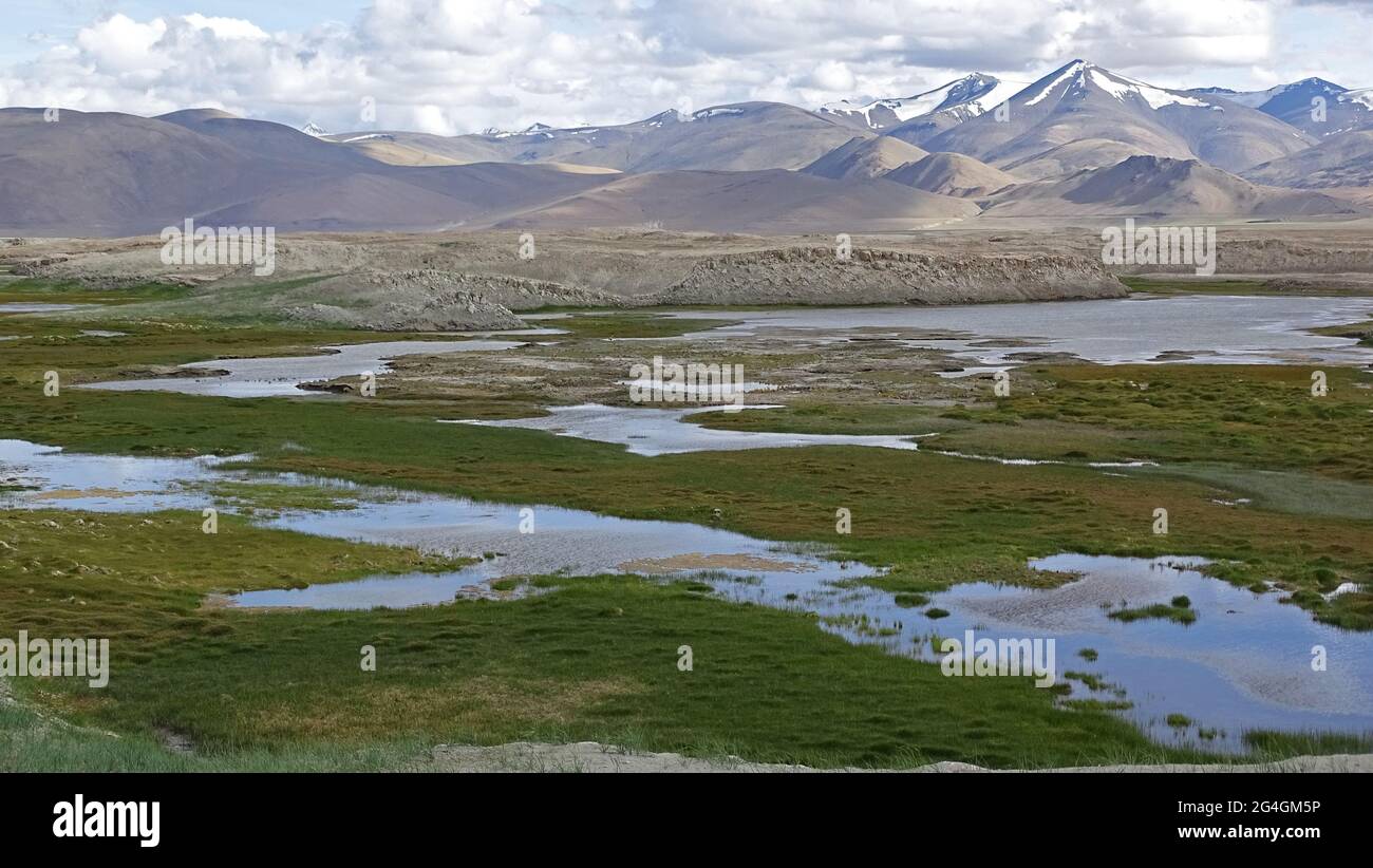 Zones humides de TSO Kar, Ladakh, Inde Banque D'Images