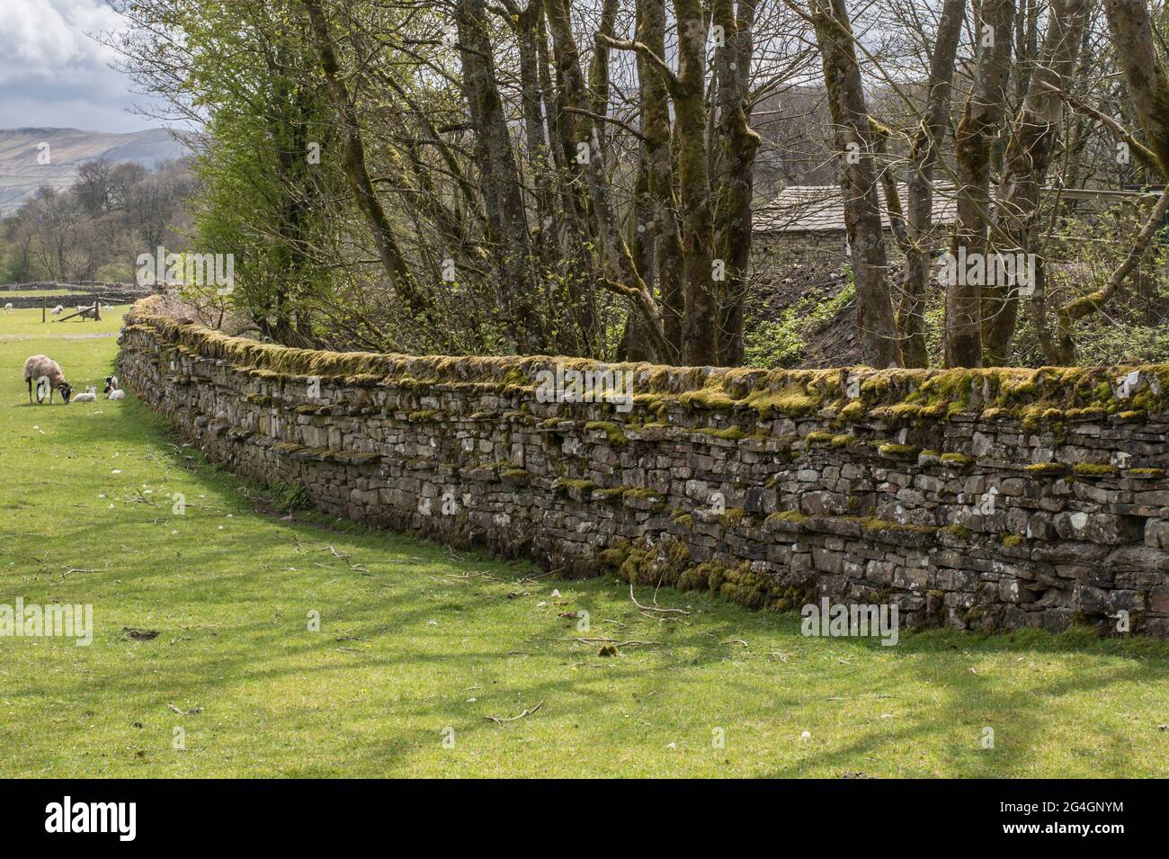 Vieux mur de pierres sèches Banque D'Images