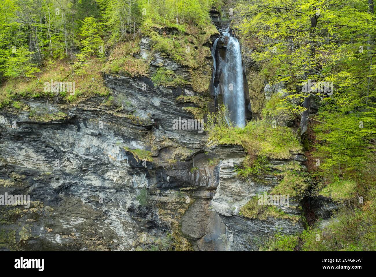Cascade de Reichenbach Falls en Suisse Banque D'Images