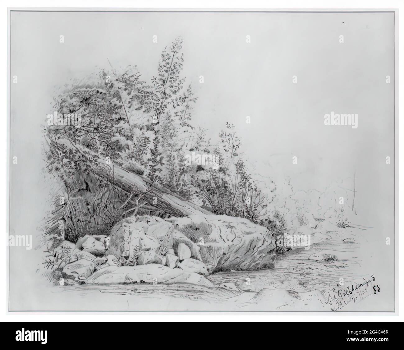 Fallen Tree, Keene Valley, 25 juillet 1883. Banque D'Images