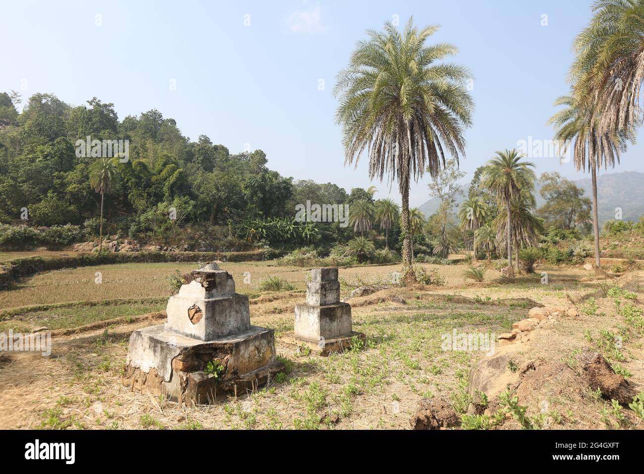 LANJIA SAORA TRIBU. Monuments commémoratifs anciens à l’extérieur du village. Les sites funéraires sont connus sous le nom de Genuar et les terrains de crémation sous le nom d’Odisha, en Inde Banque D'Images