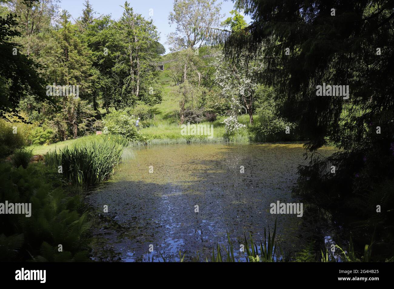 Les jardins de Parcevall Hall & Gardens, Skyreholme dans le North Yorkshire. Banque D'Images