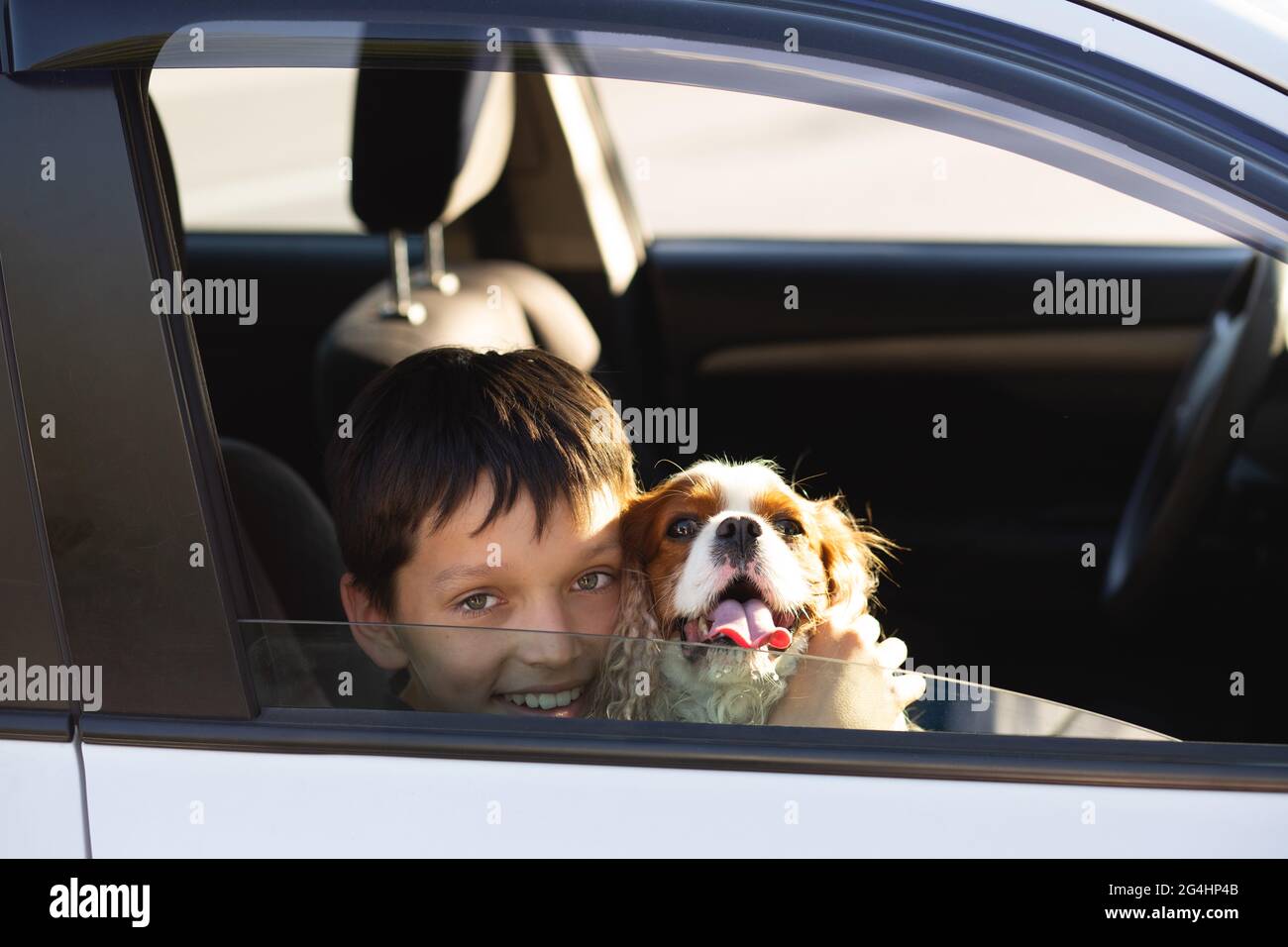 Adolescent souriant regardant à travers la fenêtre de la voiture avec son chien cavalier roi charles spaniel, rêvant de partir en voyage Banque D'Images