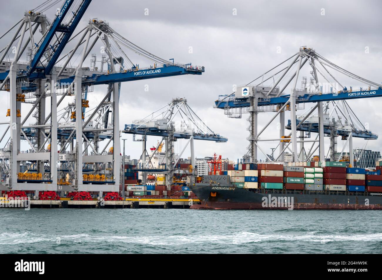 Bateau à conteneurs et grues dans le port d'Auckland, Île du Nord, Nouvelle-Zélande Banque D'Images