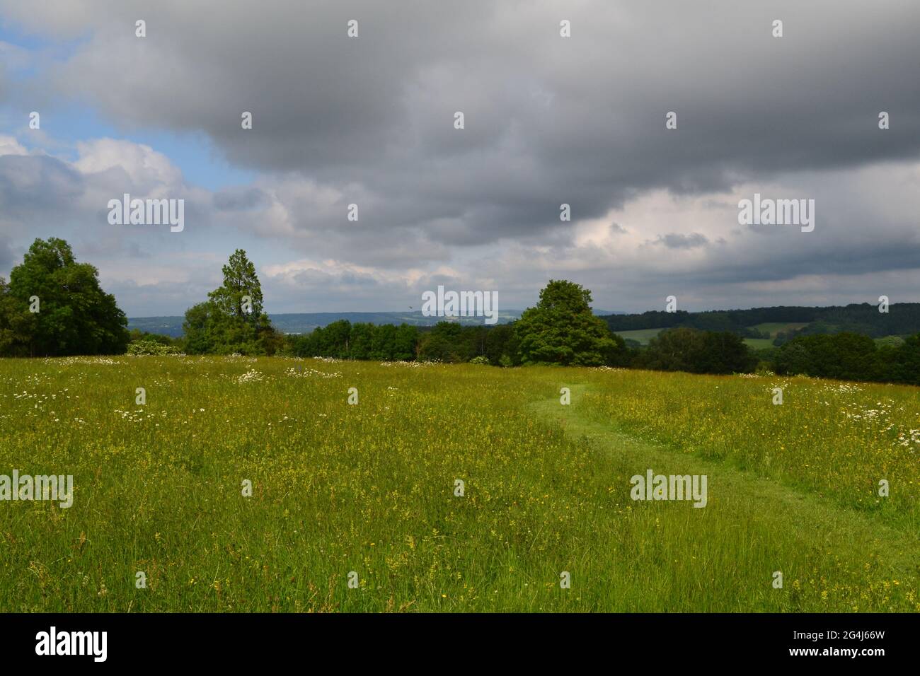 Meadows et vues à IDE Hill, Kent, en juin sur une partie ensoleillée/nuageux journée. IDE Hill se trouve sur la crête de Greensand. En regardant vers le nord jusqu'à l'escarpement du nord Banque D'Images