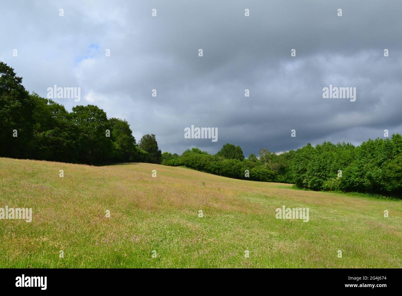 Meadows et vues à IDE Hill, Kent, en juin, en bordure de bois de corde. IDE Hill est sur la crête de Greensand des collines près de Sevenoaks et a beaucoup de promenades Banque D'Images