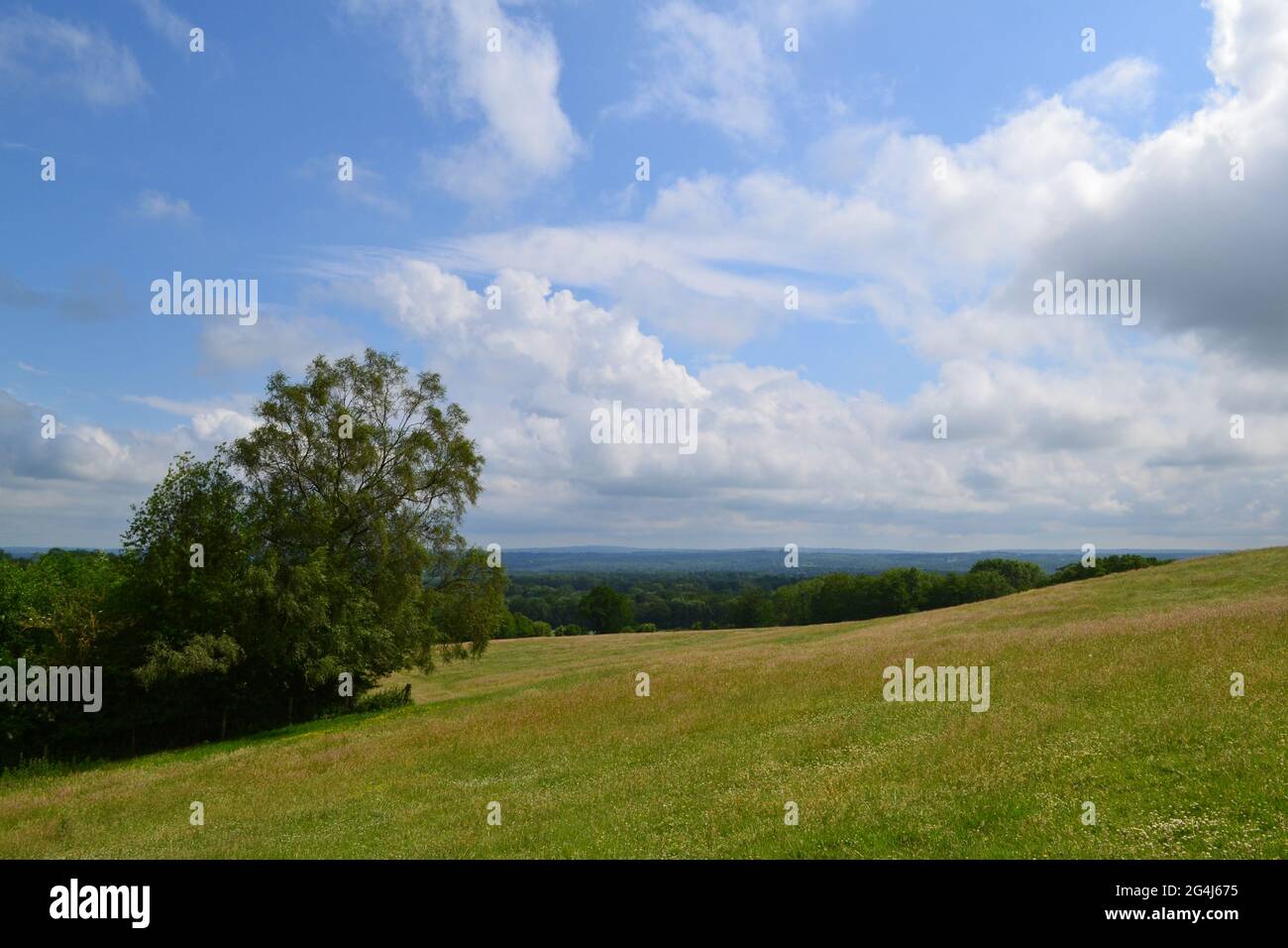 Meadows et vues à IDE Hill, Kent, en juin sur une partie ensoleillée/nuageux journée. IDE Hill est sur la crête de Greensand de collines. Vue sud sur Low Weald Banque D'Images