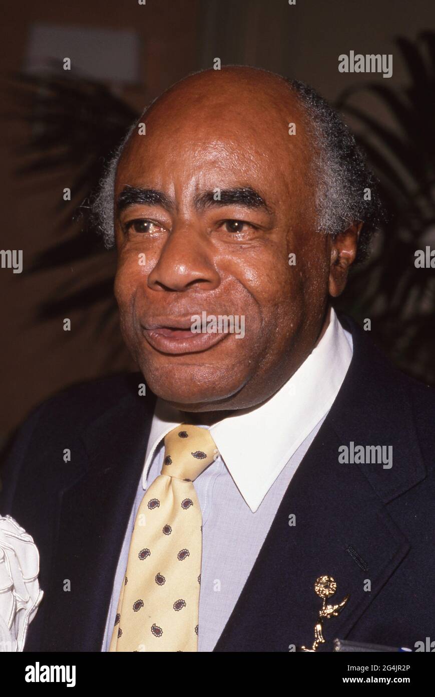Roscoe Lee Browne Circa 1980 crédit: Ralph Dominguez/MediaPunch Banque D'Images