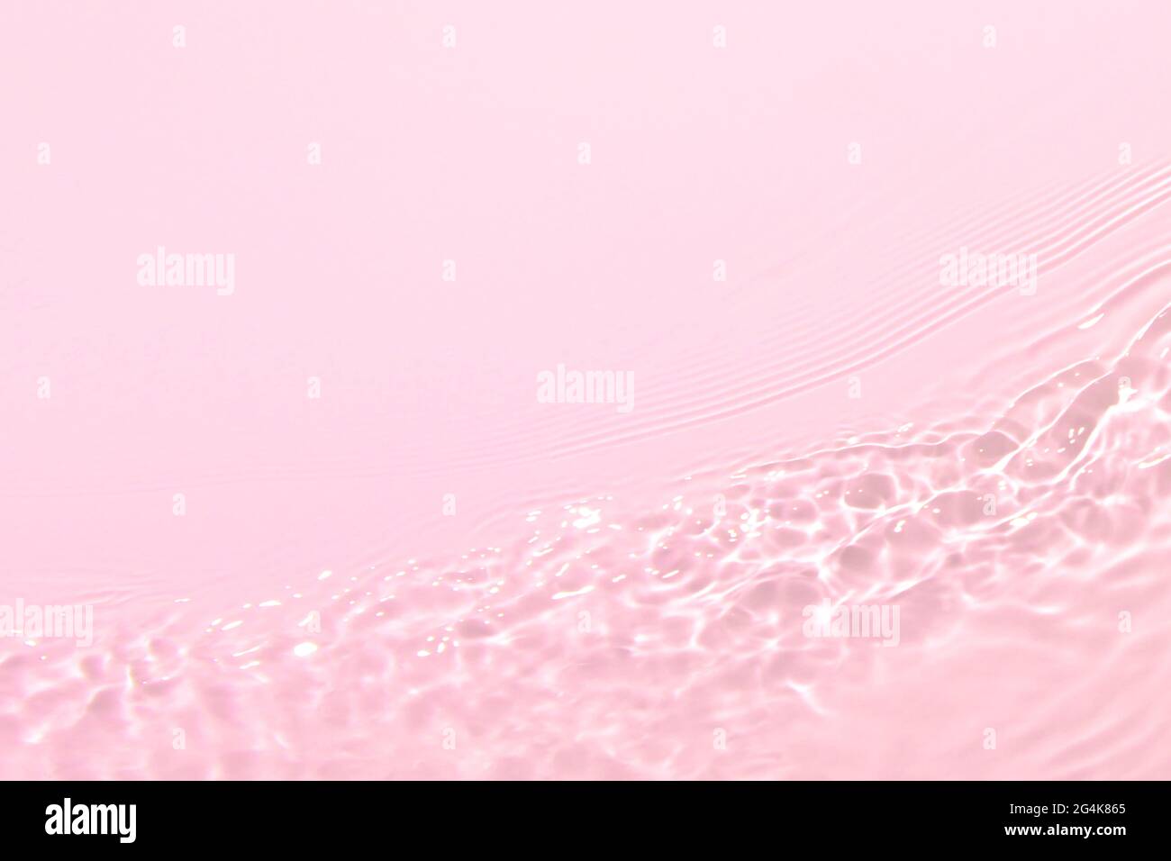 rose transparent eau transparente texture de surface été fond Banque D'Images