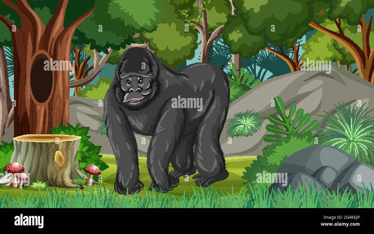 Gorilla dans la forêt ou la forêt tropicale scène avec de nombreux arbres illustration Illustration de Vecteur