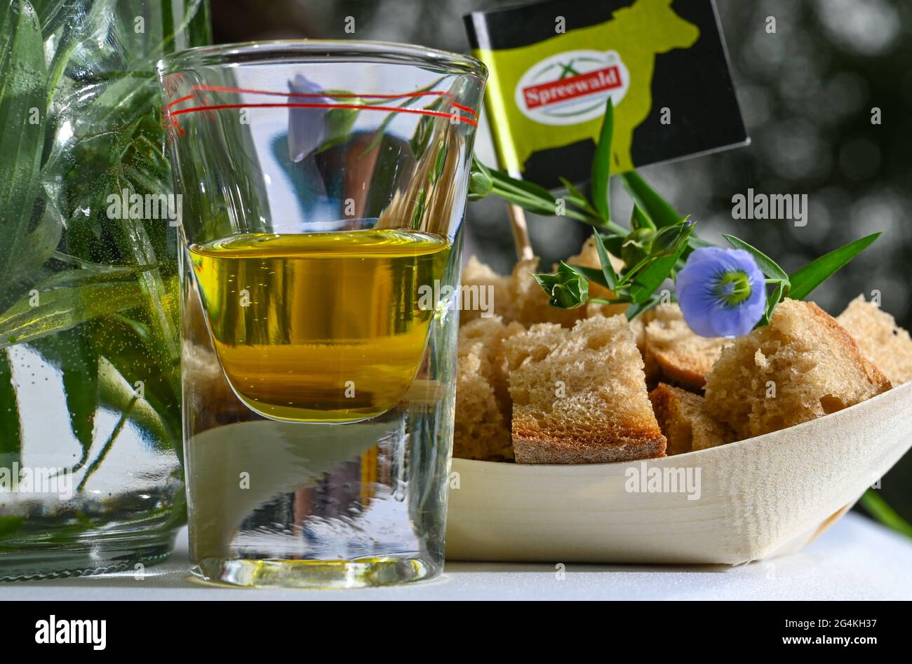 22 juin 2021, Brandebourg, Dürrenhofe: Un verre d'huile de lin, de pain et de fleurs de lin peut être vu sur une table à la conférence de presse pour la fleur de lin d'huile de la coopérative agricole Unterspreewald par exemple Le lin, dont les meuniers pressent l'huile de lin «Spreewald Leinöl», cultive sur environ 160 hectares de terres arables dans la région de Spreewald. En raison du temps chaud, les cultures de lin commencent actuellement à fleurir. La graine de lin est une culture traditionnelle du Spreewald. La production d'huile de lin est enracinée dans la région depuis des générations. Photo: Patrick Pleul/ Banque D'Images
