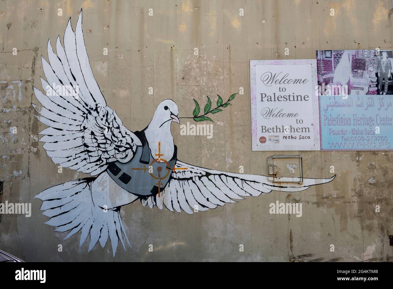 Graffiti célèbre par l'artiste de renom Banksy intitulé 'Armored Dove' à Bethléem, Palestine, Cisjordanie Banque D'Images