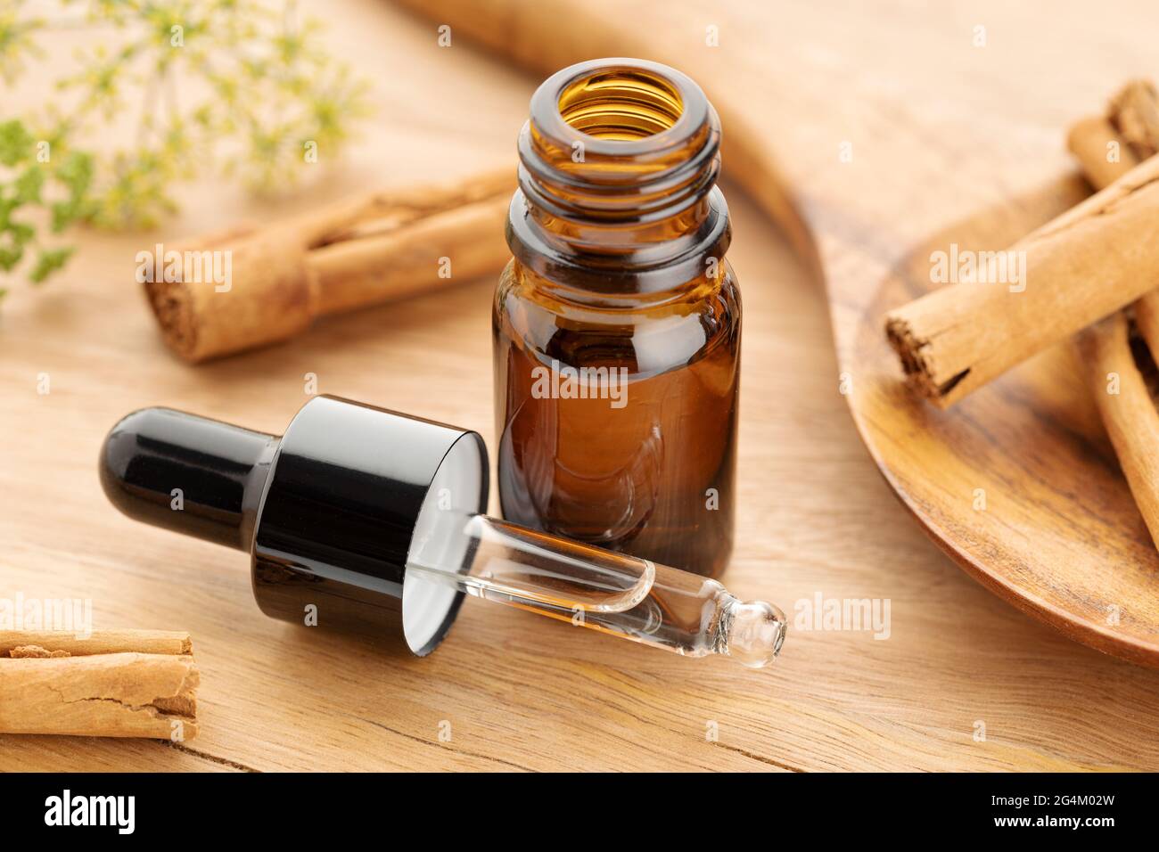 Huile essentielle de cannelle sur une bouteille sur une table en bois. Médecine alternative Banque D'Images