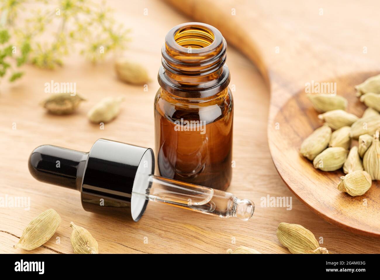 Huile essentielle de cardamome sur bouteille sur table en bois. Médecine alternative Banque D'Images