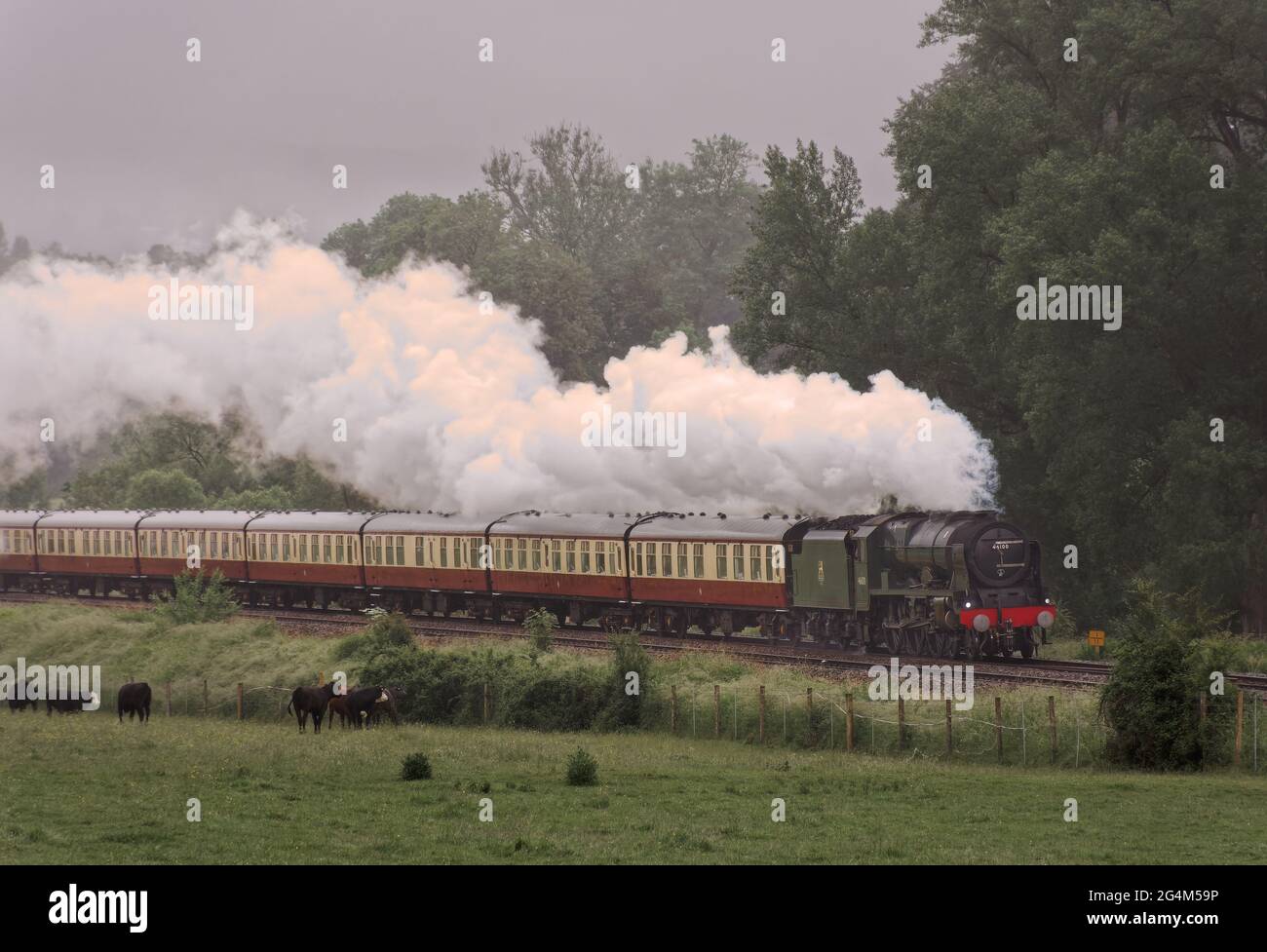 Royal Scot sorti de la brume sur le 'English Riviera Express' Banque D'Images