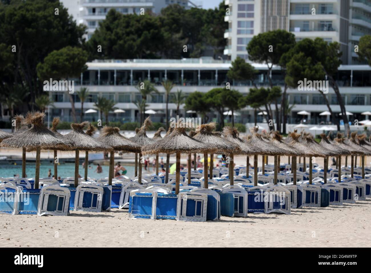 Des chaises longues vides à Magaluf, Majorque, Espagne, comme les îles Baléares d'Ibiza, Majorque et Minorque sont sur le point d'être ajoutés à la liste verte du Royaume-Uni. Banque D'Images