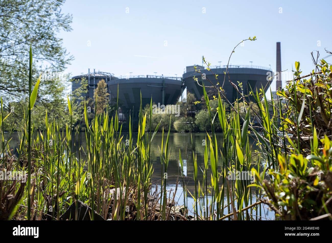 Usine de traitement biologique des eaux usées d'Allessa GmbH (anciennement Cassella AG) sur le main à Francfort, à Fechenheim Banque D'Images