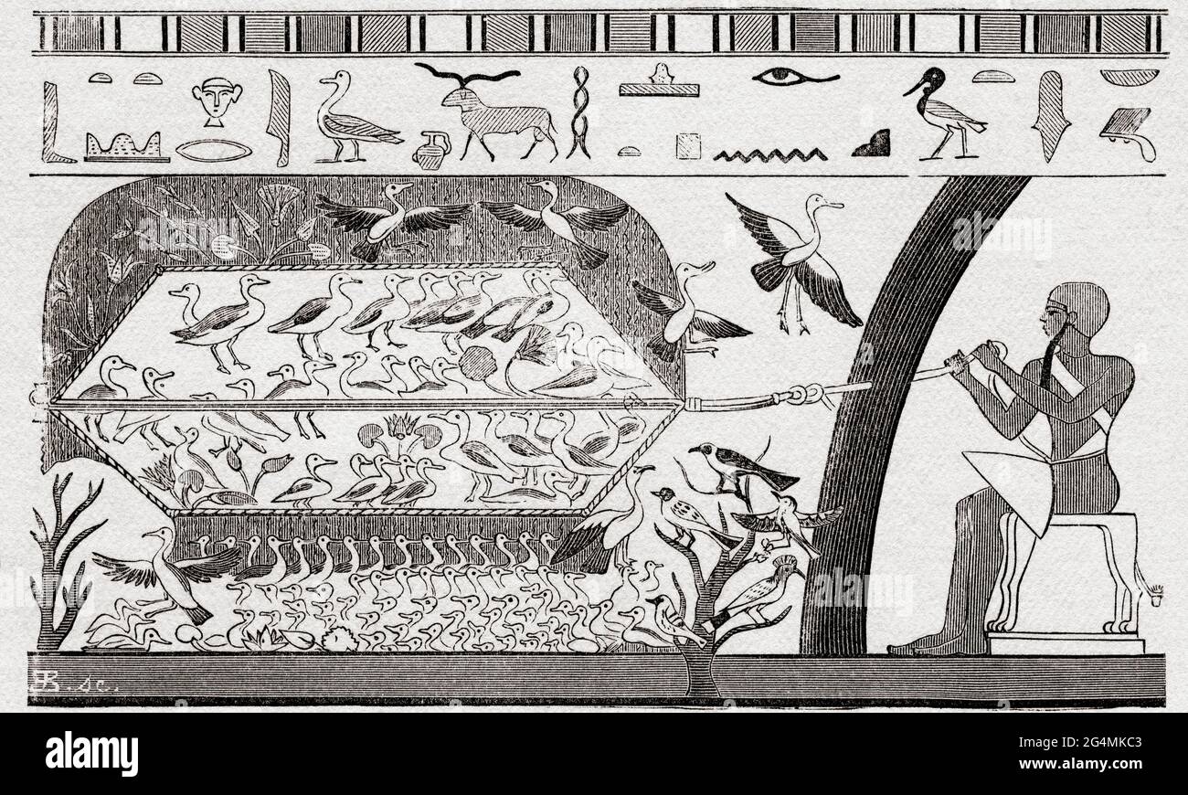 Chasse aux oies sauvages dans l'Égypte ancienne à l'aide d'un type de filet. Après une peinture dans les temples souterrains de Beni-Hassan. De l'Univers ou, l'infiniment Grand et l'infiniment petit, publié en 1882. Banque D'Images