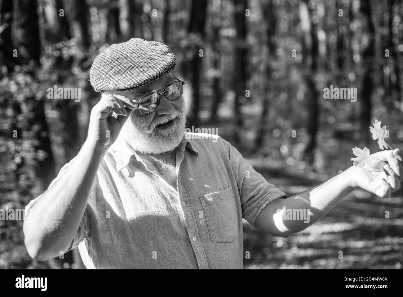 La vieillesse est la joie. Les retraités apprécient la nature de l'automne. Le vieil homme récupère les feuilles jaunes. Personne âgée avec des cheveux de barbe gris. Retraite et retraite. Loisirs Banque D'Images