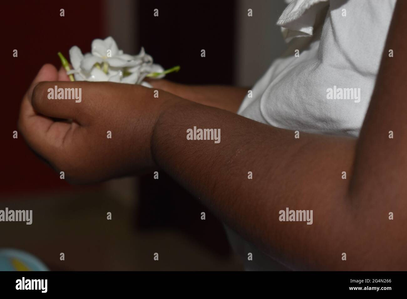 Colombo, Sri Lanka. 22 juin 2021. Un enfant de trois ans portant des fleurs blanches en préparation pour une garderie commémorant le jour Poson pleine lune du Poya qui tombe le jeudi 24 juin. Poson Poya est le deuxième en importance seulement pour Vesak et commémore l'introduction du bouddhisme au Sri Lanka par le moine missionnaire bouddhiste Mahinda au IIIe siècle C.-B. crédit: La majorité monde CIC/Alamy Live News Banque D'Images