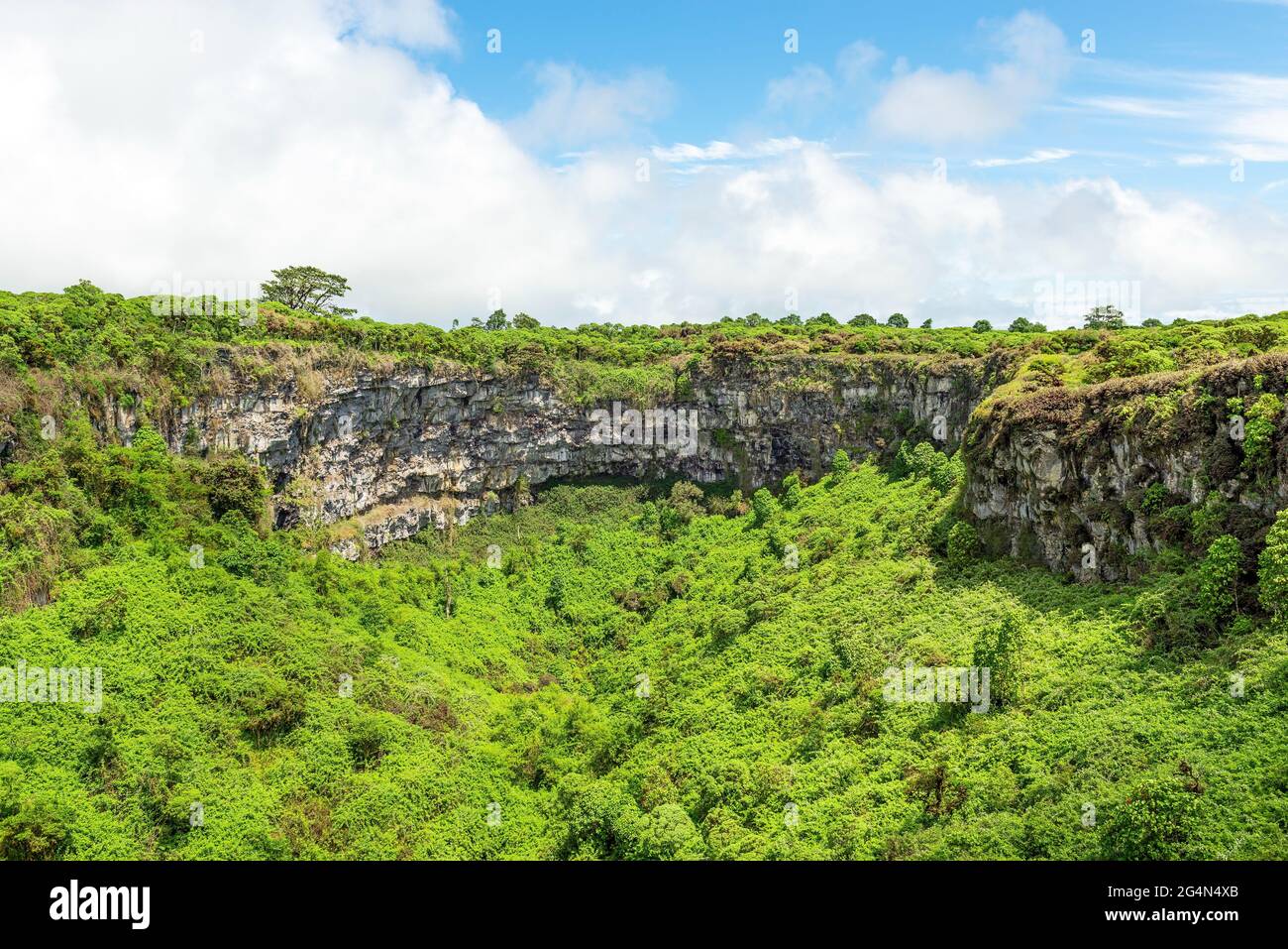 Cratère volcanique éteint de jumeaux (Los Gemelos), île de Santa Cruz, parc national de Galapagos, Équateur. Banque D'Images