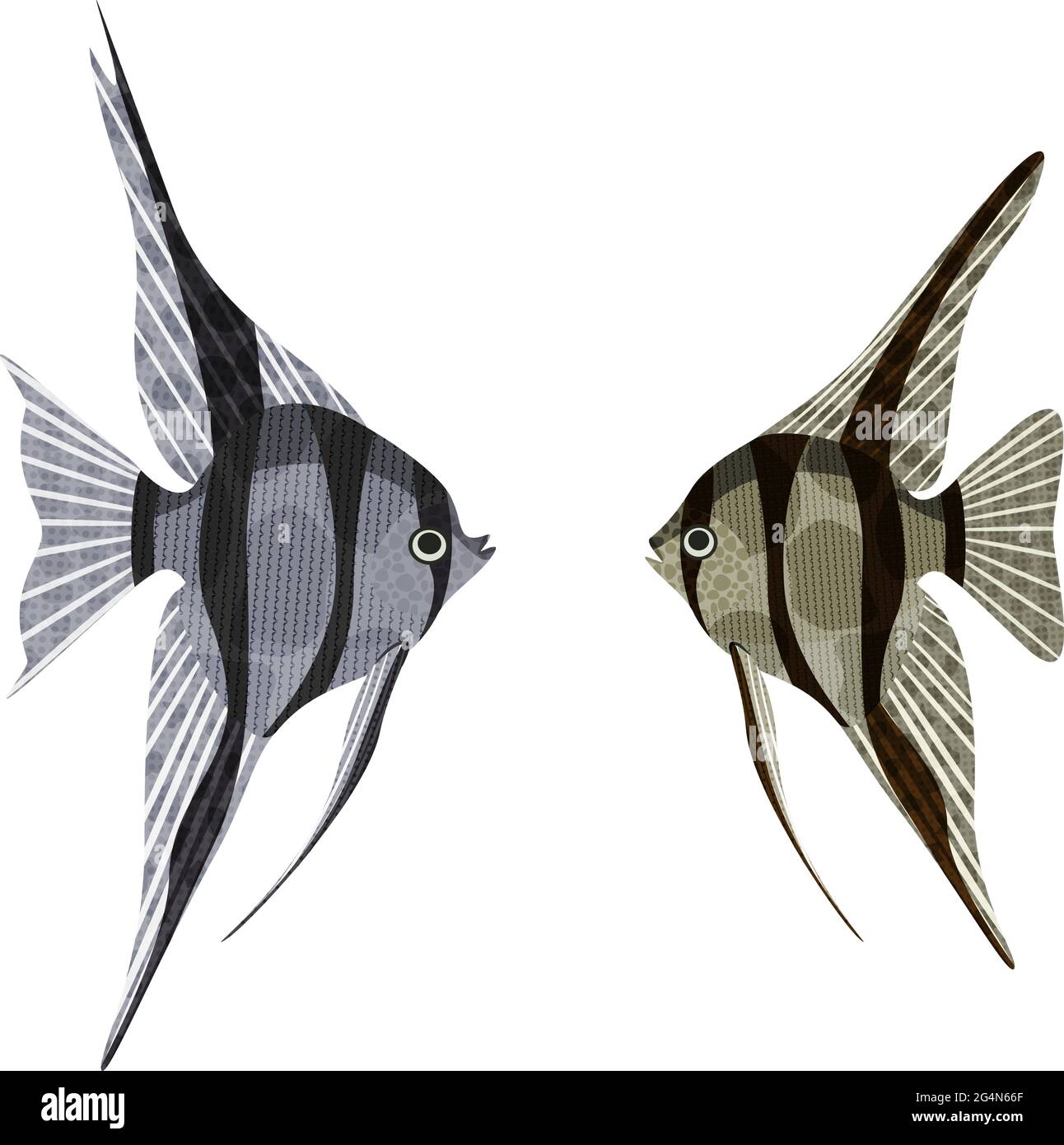 Poissons d'aquarium exotiques bassin d'Amazone: Altum et scalaire, EPS10 - graphiques vectoriels. Illustration de Vecteur
