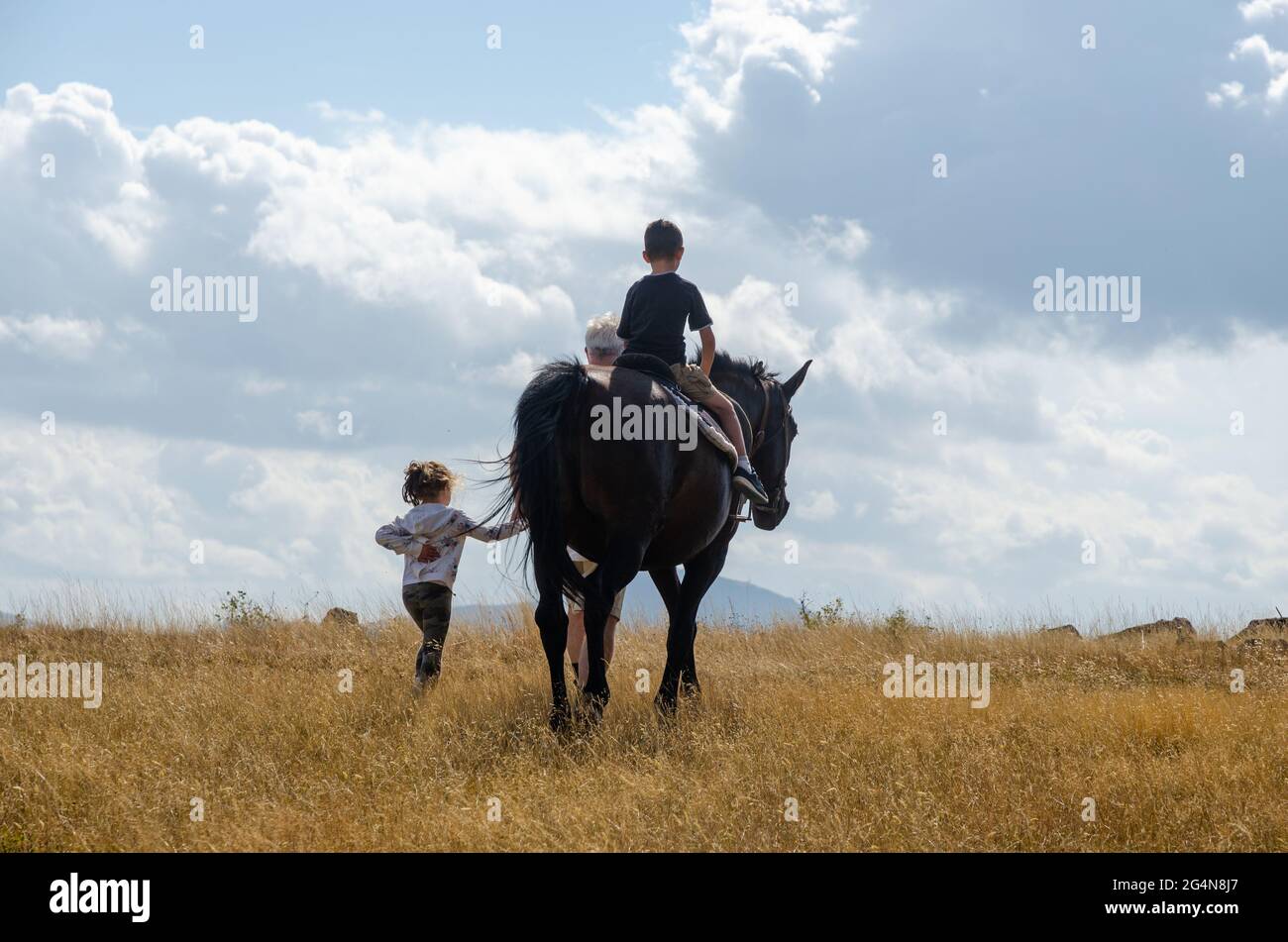 а petite fille dirige un cheval qui est monté par un petit garçon dans un champ de montagne. Photo à l'arrière. Banque D'Images