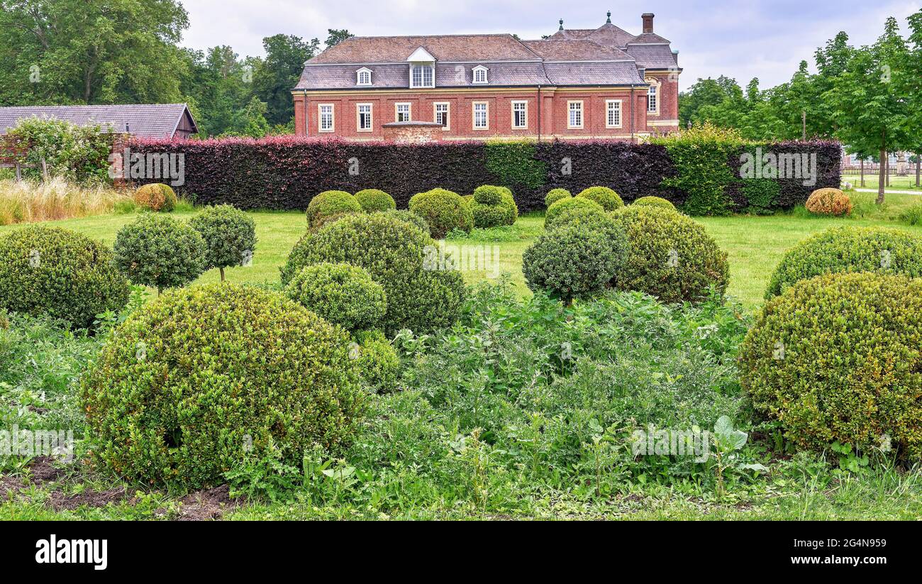 Scène de parc rural avec buis rond et haie de hêtre pourpre. Château de Nordkirchen, Allemagne, bâtiment « Oranienburg » Banque D'Images