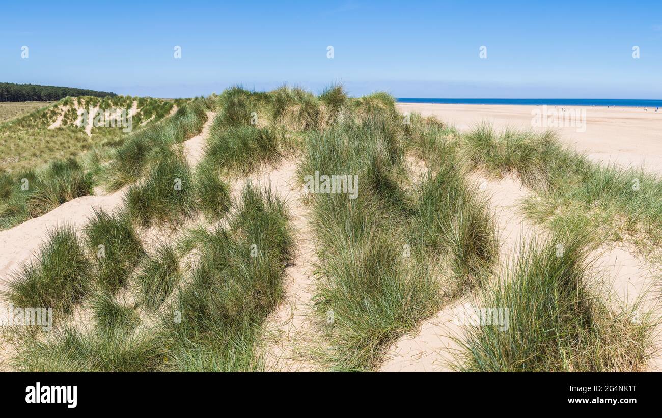 Panorama multi-image des dunes de sable sur la plage de Holkham sur la magnifique côte nord de Norfolk. Banque D'Images