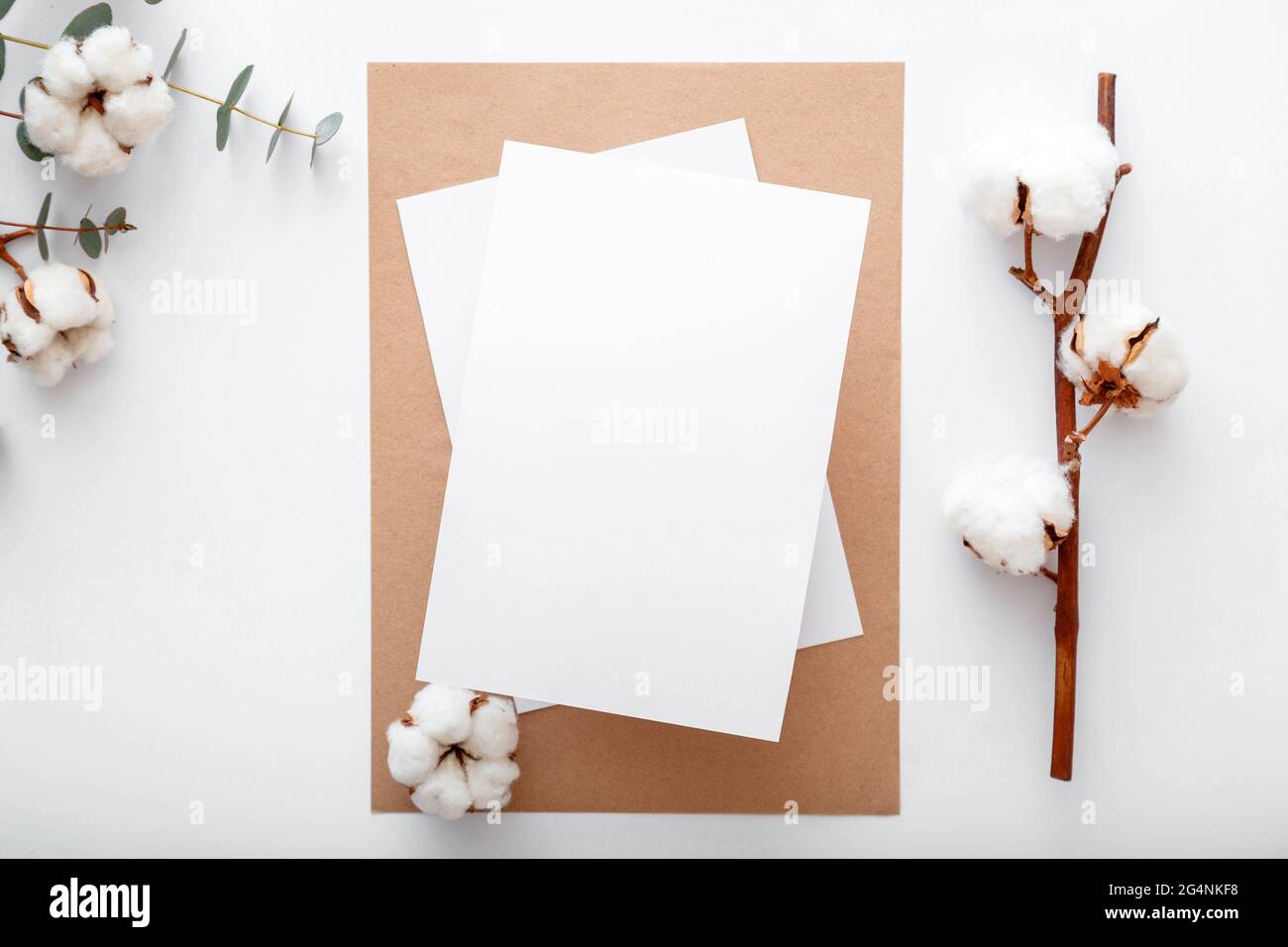 Papier à notes de maquette blanc vierge avec fleurs de coton en fleur sèches sur une couche plate. Maquette de bureau moderne pour carte de vœux. Espace de travail élégant avec Banque D'Images