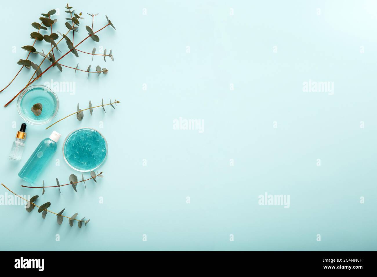 Herbes d'eucalyptus avec cosmétiques naturels. Eucalyptus Gel sérum Cosmetics naturels en bouteille avec des feuilles et des branches d'eucalyptus. Eucalyptus Banque D'Images