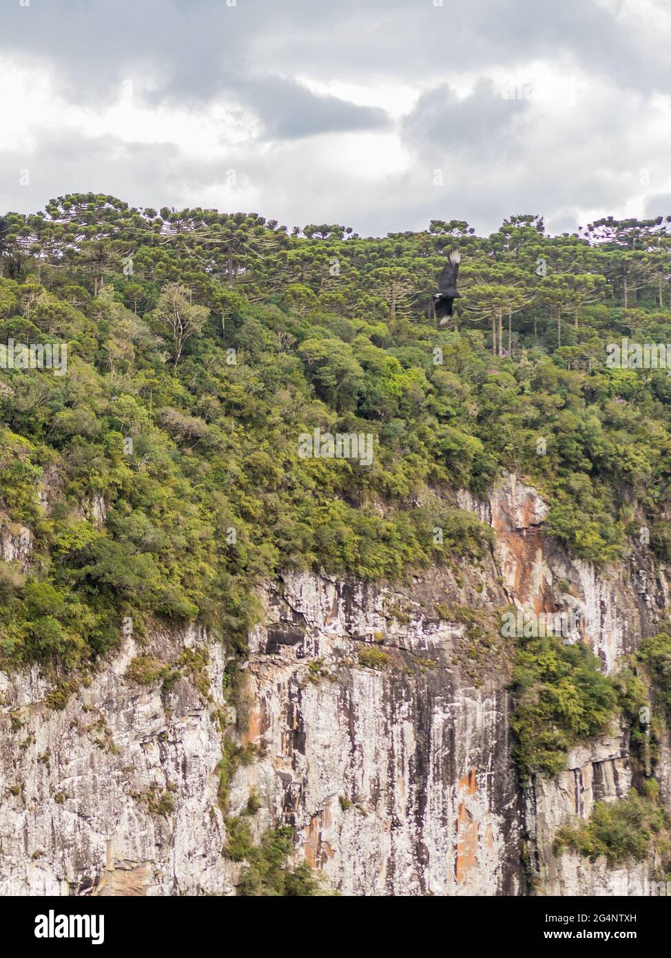 Itaimbezinho Canyon à Cambará do Sul - Serra Gaucha. L'un des plus grands canyons du monde, situé dans le sud du brésil. Banque D'Images