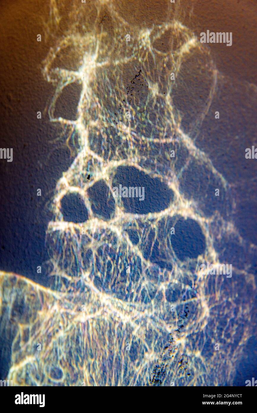 lumière du soleil réfléchie Banque D'Images