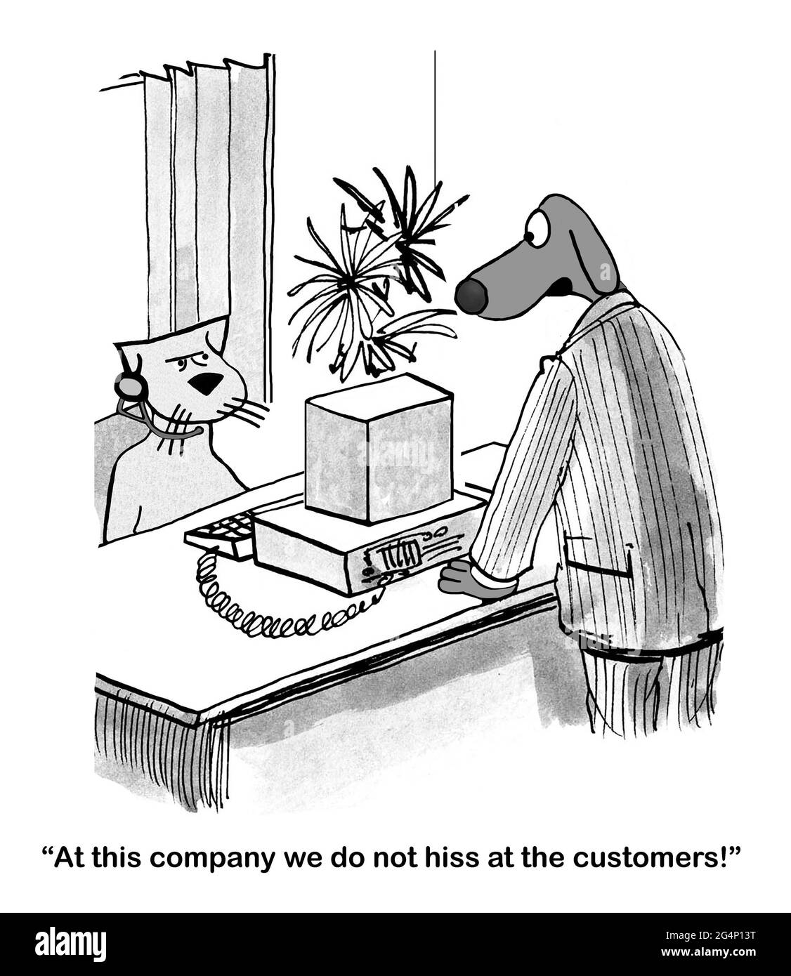 Chien critique chat pour siffler chez les clients. Banque D'Images