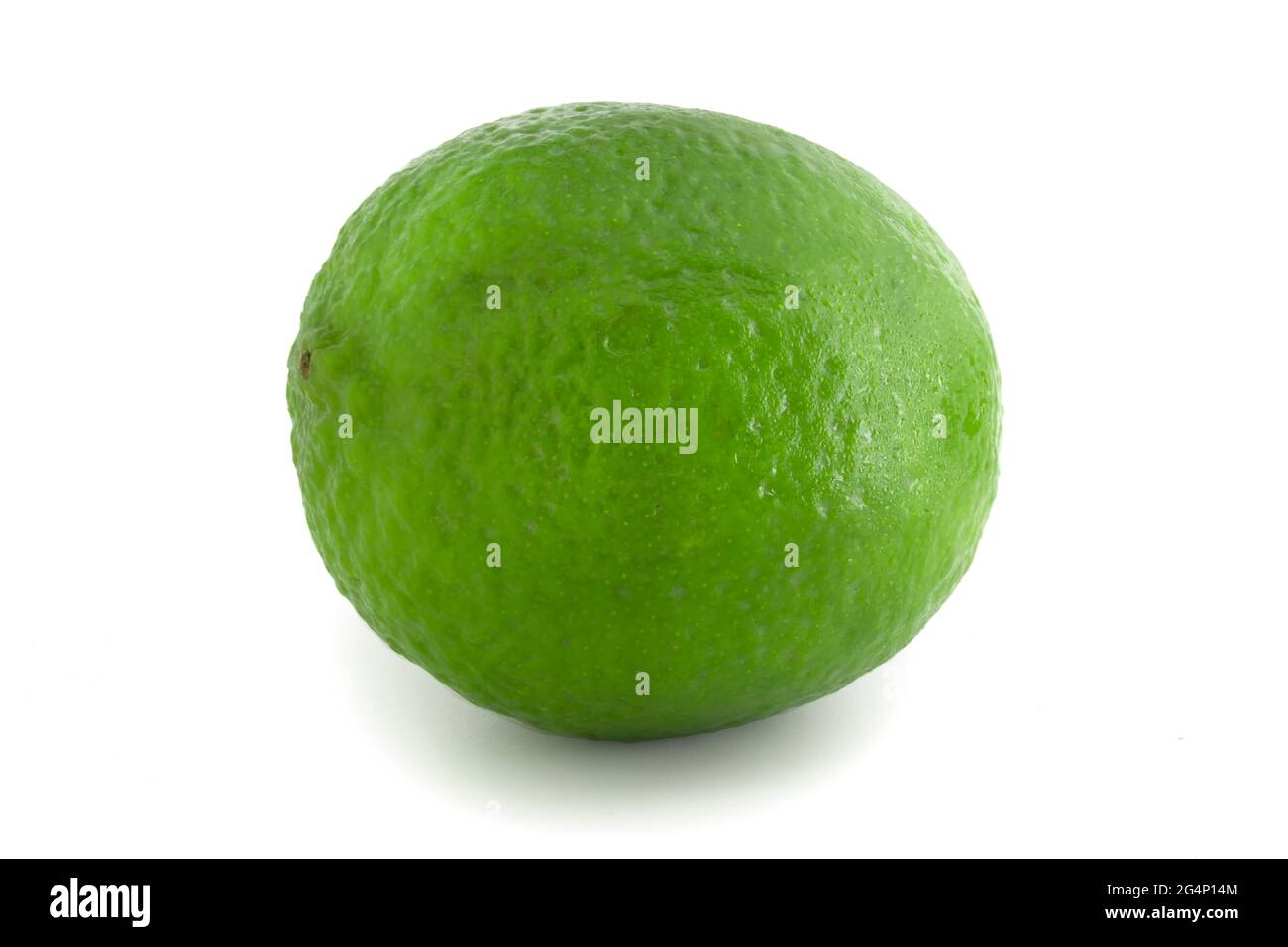 Citron vert citron isolé sur fond blanc. Mise au point complète Citrus. Banque D'Images