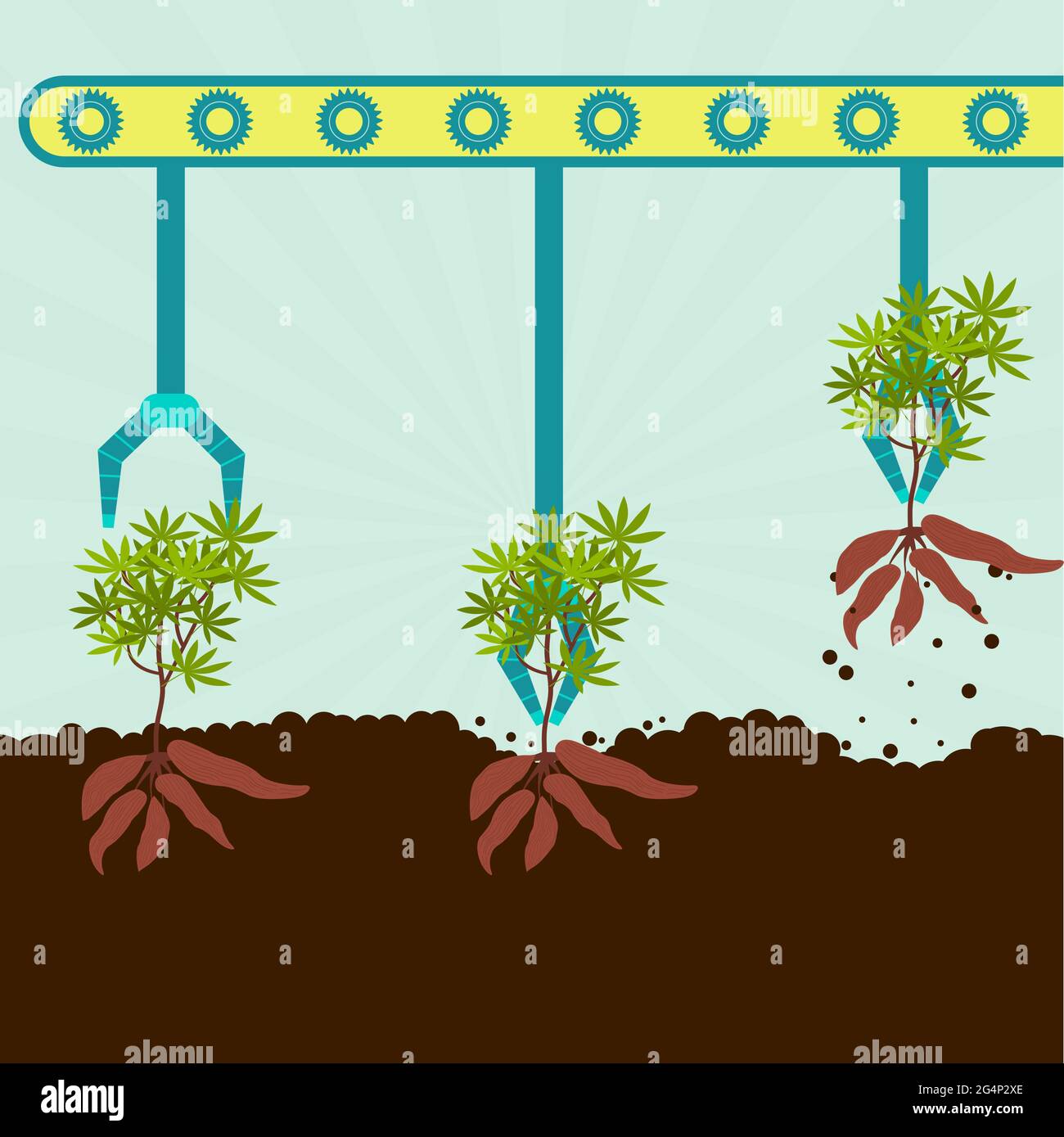 Machine avec pinces pour récolter les yuccas. Récolte en série Illustration de Vecteur