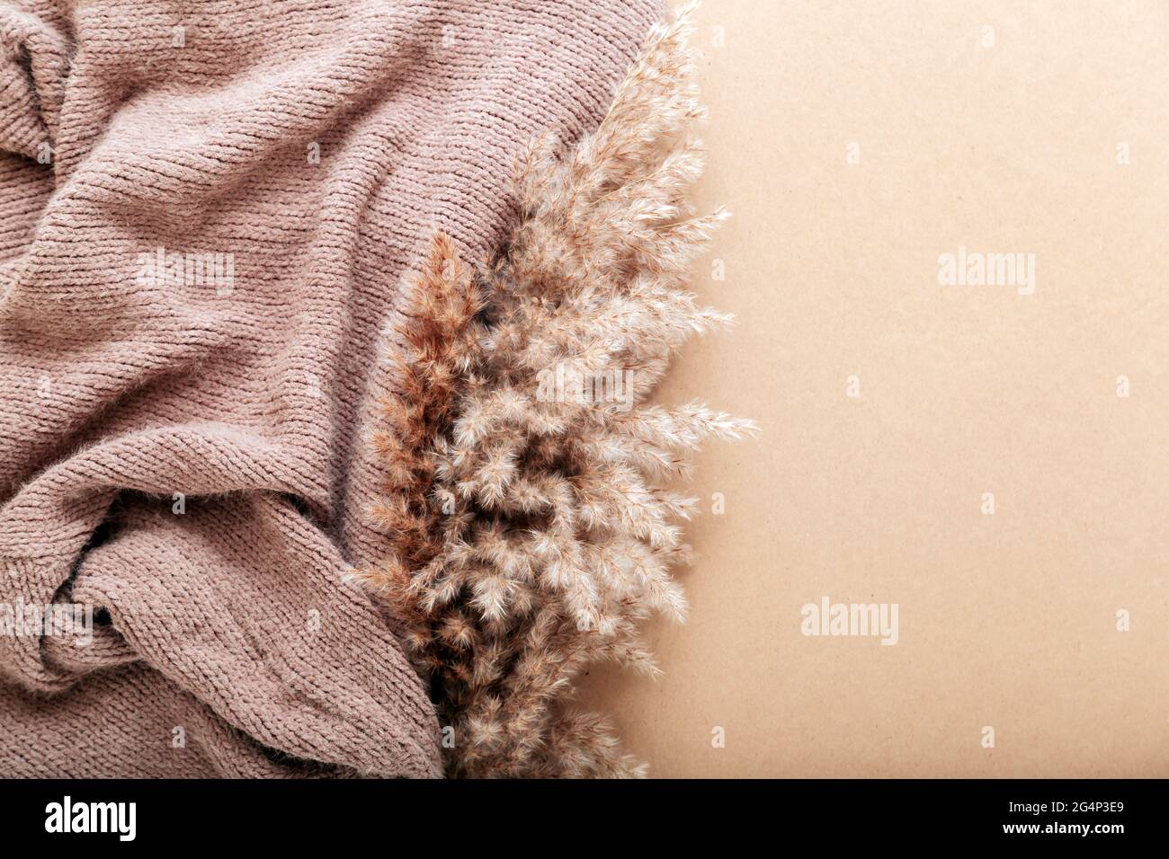 Pampas à rosette avec tissu tricoté beige chaud sur fond de papier beige. Cadre beige avec espace de copie et fleur de pampas en roseau. Banque D'Images